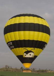 N-300