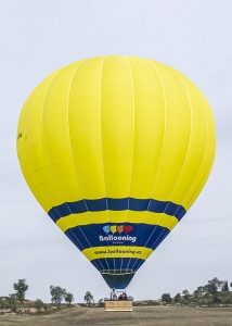 T-210