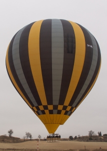 N450