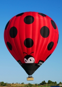 2910-N300-Ultramagic-Balloons